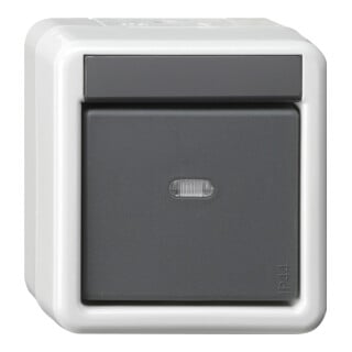 Gira KNX Bouton-poussoir BA simple gris saillie 2 points 515230