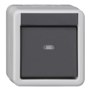 Gira KNX Interrupteur BA 1 touche gris saillie 1 point 515130