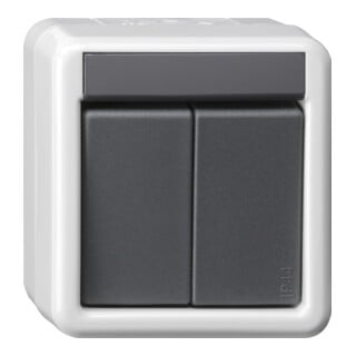 Gira KNX Interrupteur BA 2 boutons gris AP 1 point 516130