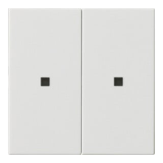 Gira KNX RF Plaque de commande 2-fach Blanc pur 510703