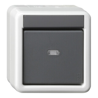 Gira KNX Taster BA 1fach grau AP 2Punkt 515230