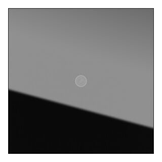 Gira Module caméra noir 5561000