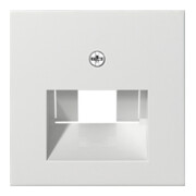 Gira Module central rws-gl pour connexion UAE-IAE 027003-1