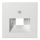 Gira Module central rws-gl pour connexion UAE-IAE 027003
