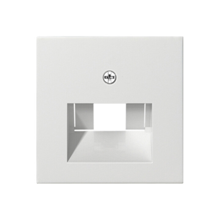 Gira Module central rws-gl pour connexion UAE-IAE 027003