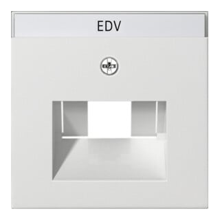 Gira Module central rws-gl pour connexion UAE-IAE 028403