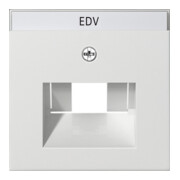Gira Module central rws-gl pour connexion UAE-IAE 028403-1
