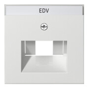 Gira Module central rws-gl pour connexion UAE-IAE 028403-3
