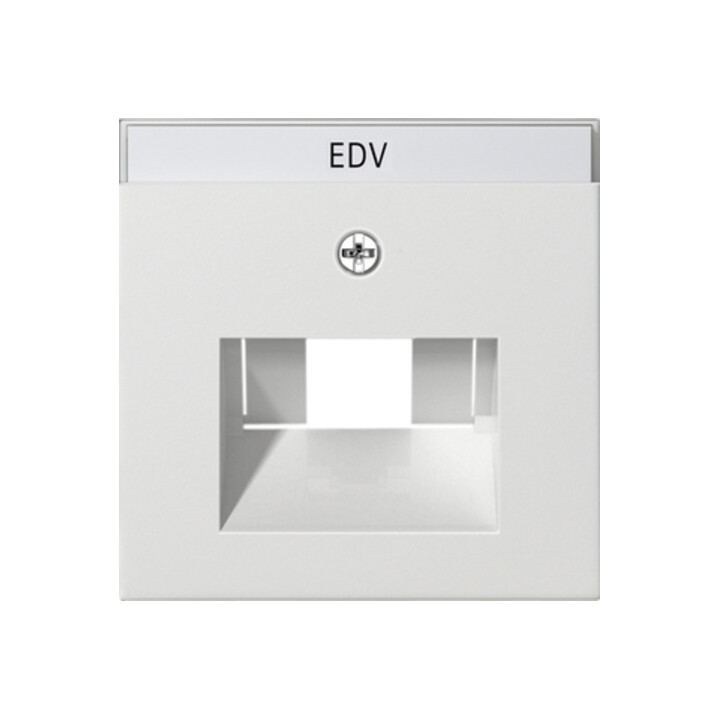 Gira Module central rws-gl pour connexion UAE-IAE 028403