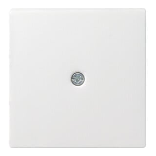 Gira Module central rws-gl pour dérivation par câble 027403