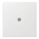 Gira Module central rws-gl pour dérivation par câble 027403