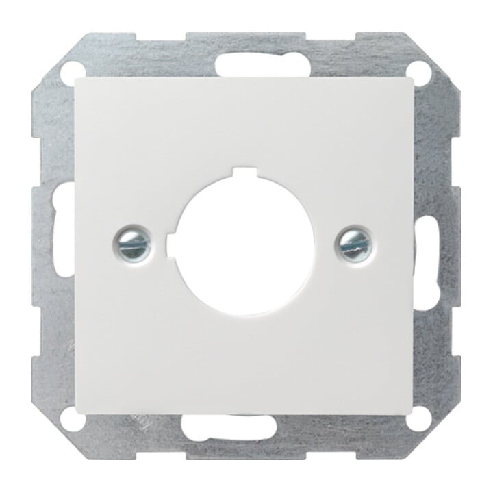 Gira Module central rws-gl, prise 22,5 mm 027203