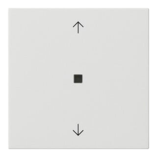 Gira Module de commande radio flèches blanc pur