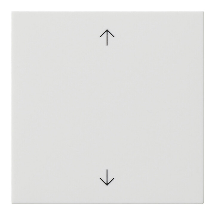 Gira Module de commande rws symboles fléchés 536103