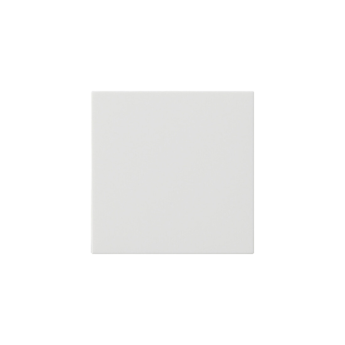 Gira Module de commande System rws 536027