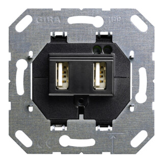 Gira Module double USB pour alimentation 235900