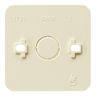 Gira Montageplatte 1f.cws AP 008113
