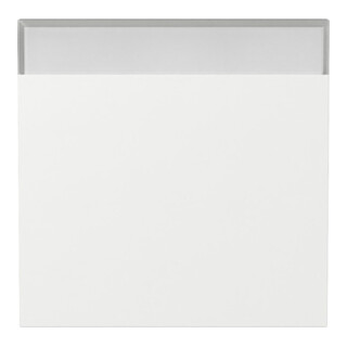 Gira Plaque blanche pure 329970