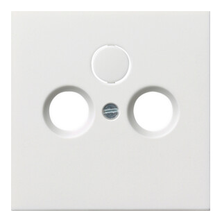 Gira Plaque centrale antenne rws-gl 0869112