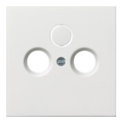 Gira Plaque centrale antenne rws-gl 0869112-1