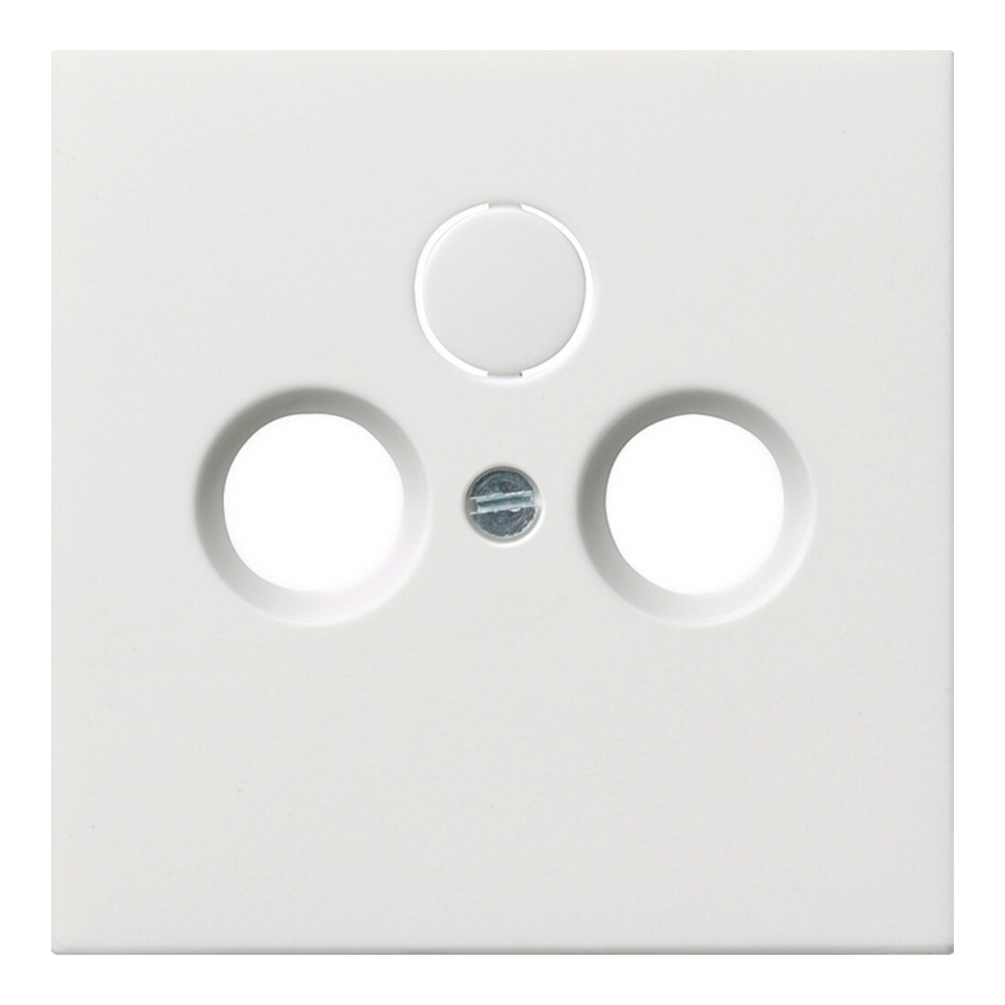 Gira Plaque centrale antenne rws-gl 0869112