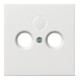 Gira Plaque centrale antenne rws-gl 0869112