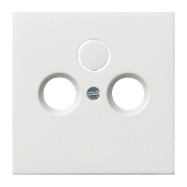 Gira Plaque centrale antenne rws-gl 0869112