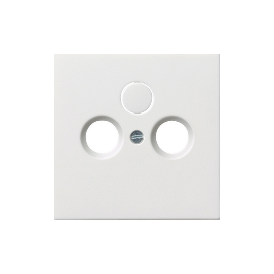 Gira Plaque centrale antenne rws-gl 0869112