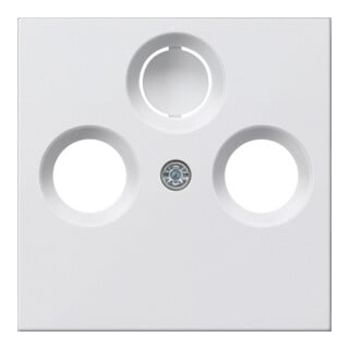 Gira Plaque centrale antenne rws System55 086927
