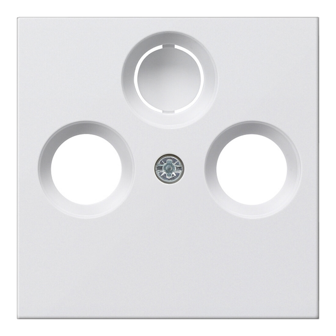 Gira Plaque centrale antenne rws System55 086927