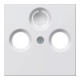 Gira Plaque centrale antenne rws System55 086927