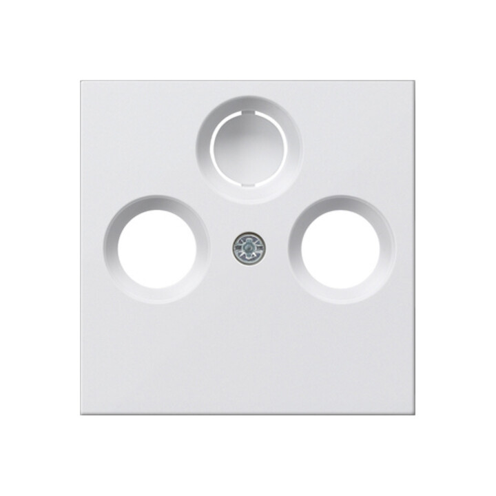 Gira Plaque centrale antenne rws System55 086927