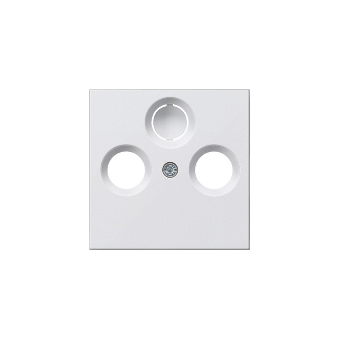 Gira Plaque centrale antenne rws System55 086927