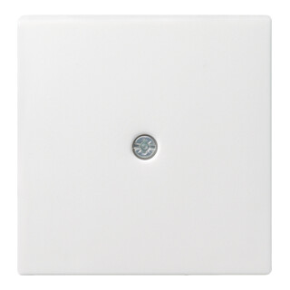 Gira Plaque centrale avec passage de câble rws System55 027427