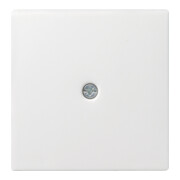 Gira Plaque centrale avec passage de câble rws System55 027427-1