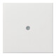 Gira Plaque centrale avec rangement de câble rws/gl 0274112