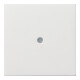 Gira Plaque centrale avec rangement de câble rws/gl 0274112