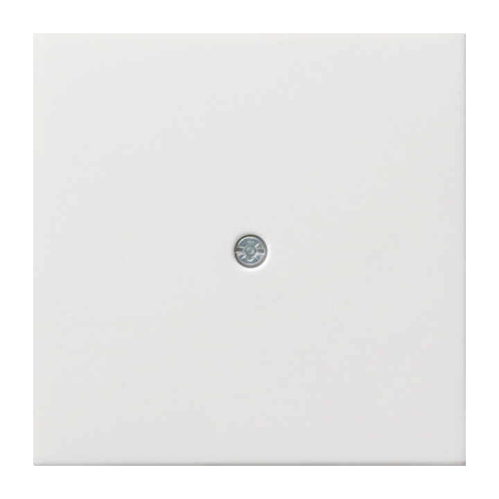 Gira Plaque centrale avec rangement de câble rws/gl 0274112