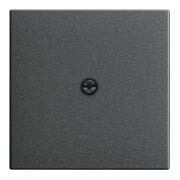 Gira Plaque centrale avec support de cordon anthracite System55 027428-3