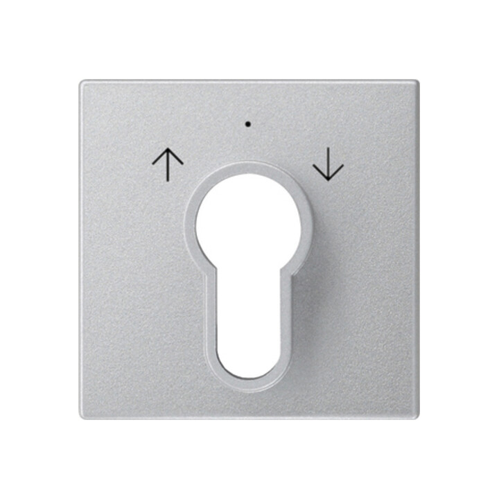 Gira Plaque centrale clé alu System55 066426