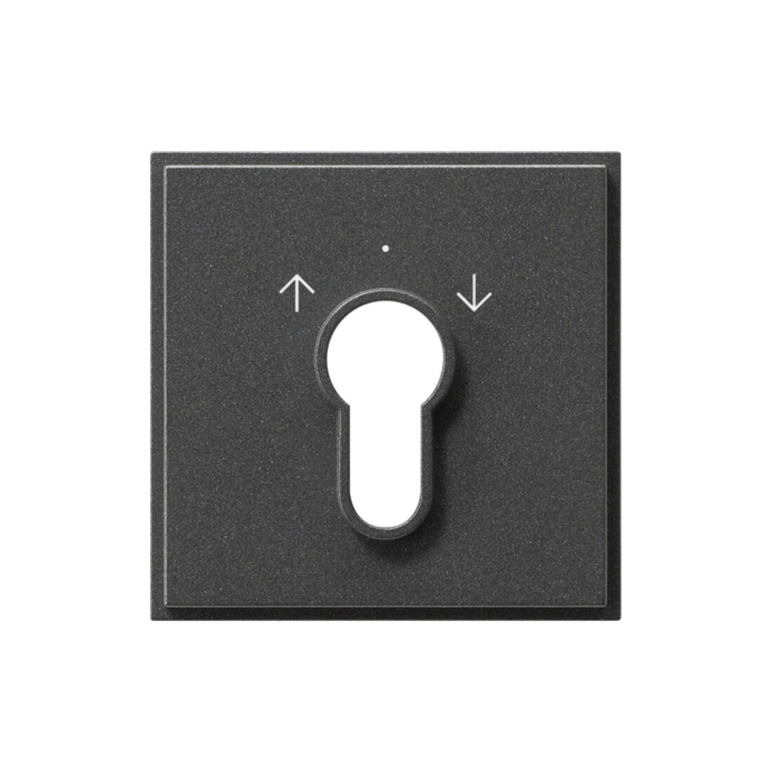 Gira Plaque centrale clé anthracite TX44 066467