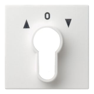 Gira Plaque centrale clé rws System55 066427