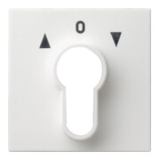 Gira Plaque centrale clé rws System55 066427-1