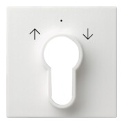 Gira Plaque centrale clé rws System55 066427-3