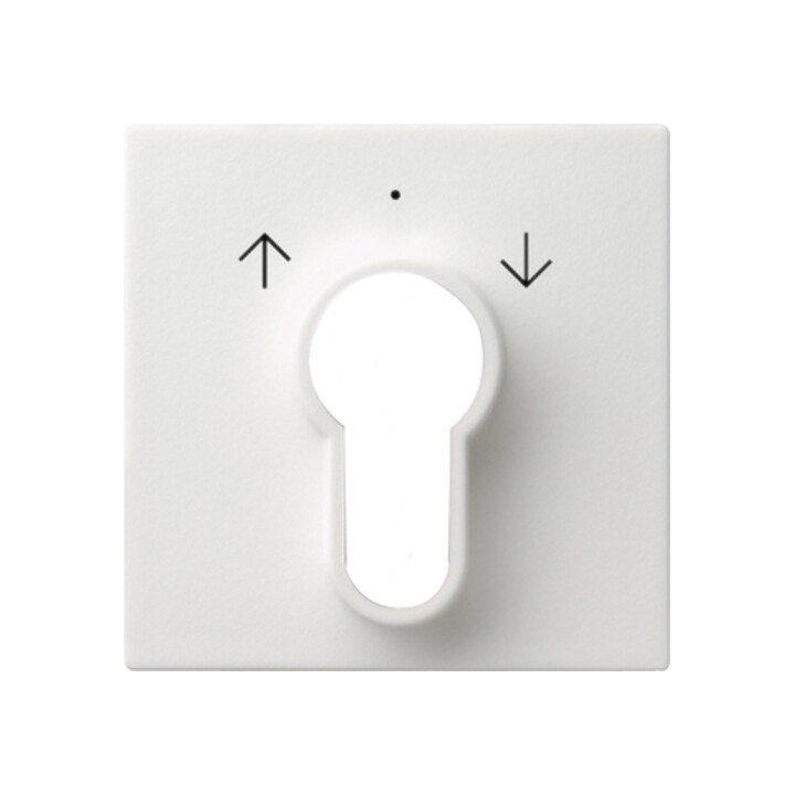 Gira Plaque centrale clé rws System55 066427
