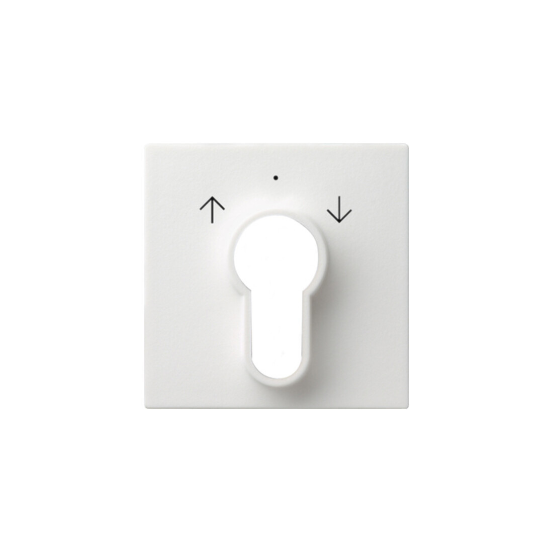 Gira Plaque centrale clé rws System55 066427