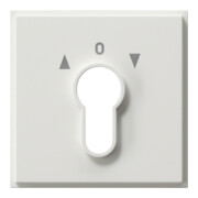 Gira Plaque centrale clé rws TX44 066466-1