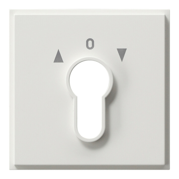 Gira Plaque centrale clé rws TX44 066466