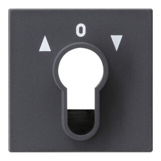 Gira Plaque centrale porte-clés anthracite System55 066428