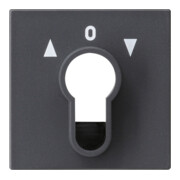 Gira Plaque centrale porte-clés anthracite System55 066428-1